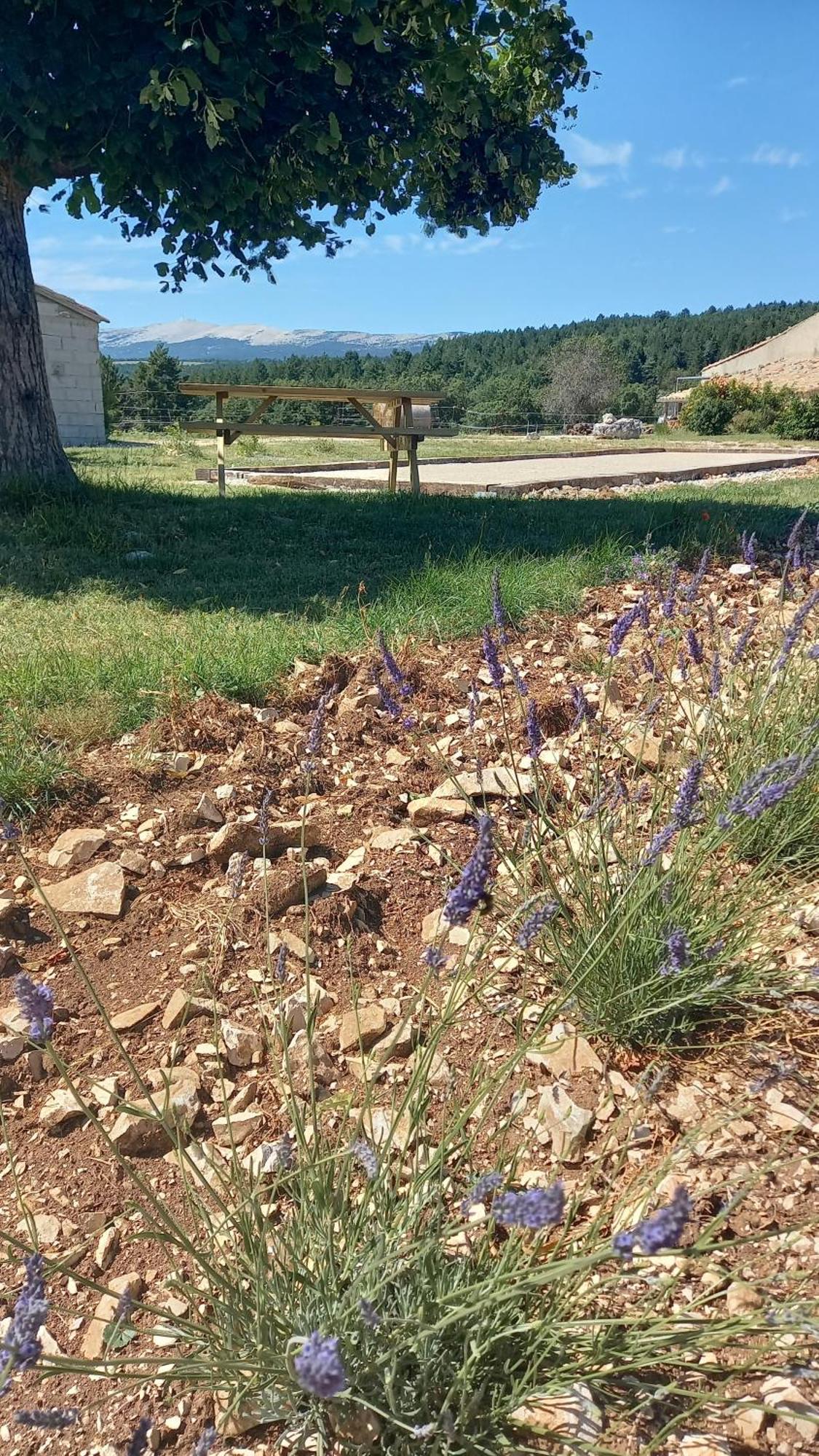 A Ventoux Yourte Monieux Eksteriør billede